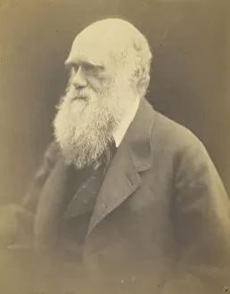 Charles Darwin Collection: Charles Darwin, 1868. Creator: Julia Margaret Cameron