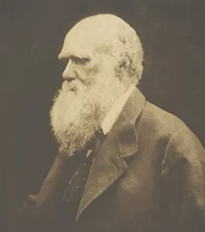 Geologist Gallery: Charles Darwin, 1868, printed c. 1893. Creator: Julia Margaret Cameron