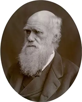 Darwin Prints: Charles Darwin, 1878. Creator: Lock & Whitfield