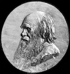 Charles Darwin, 1882