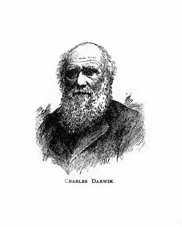 Charles Darwin, 19th century British naturalist, (20th century)