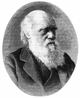 Elliott Fry Gallery: Charles Darwin, 19th century English naturalist, (1900).Artist: Elliott & Fry
