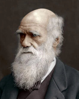 Charles Darwin Collection: Charles Darwin, British naturalist, 1878