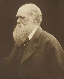Geologist Gallery: Charles Darwin, c. 1868, printed 1875. Creator: Julia Margaret Cameron