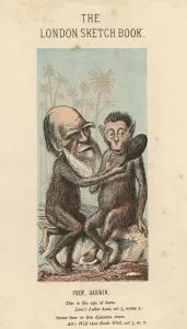 Darwin Prints: Charles Darwin, English naturalist, 1874
