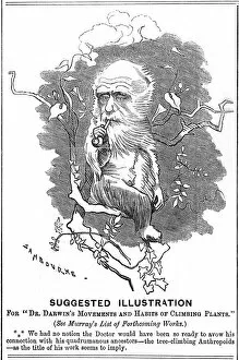 Charles Darwin, English naturalist, 1875. Artist: Edward Linley Sambourne