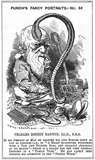 Charles Darwin, English naturalist, 1881. Artist: Edward Linley Sambourne