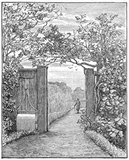 Darwin Prints: Charles Darwin in the sand walk at Down House, c1870 (1887)