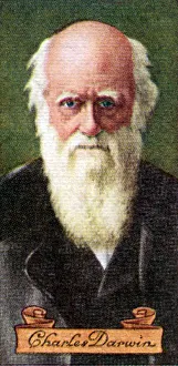 Collier Prints: Charles Darwin, taken from a series of cigarette cards, 1935