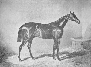 Charles Xii Prints: Charles XII, Winner of the St. Leger 1839, (1911)