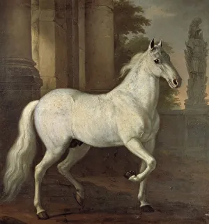 David Klöcker Ehrenstrahl Prints: Charles XI's favourite horse Brilliant, 1680. Creator: David Klocker Ehrenstrahl