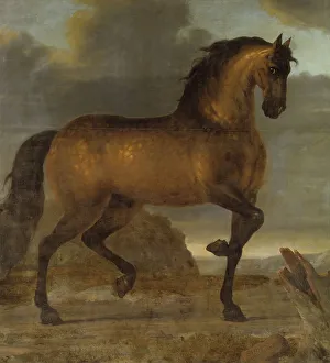 Flirting Prints: Charles XI's favourite horse Capricorn, 1673. Creator: David Klocker Ehrenstrahl