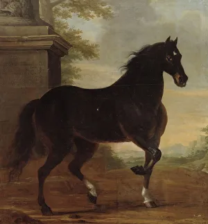 David Klöcker Ehrenstrahl Prints: Charles XI's favourite horse Tott, 1680. Creator: David Klocker Ehrenstrahl