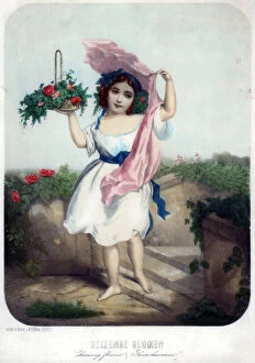 Images Dated 9th May 2007: Charming flowers, c19th century.Artist: F Silber