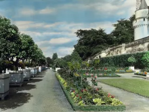 Flower Beds Prints: Chateau of Usse´, Rigny-Usse´, Indre-et-Loire