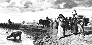 A Chaussee in the Delta, at the time of the flood, 1880. Artist: R Brandamour A Chaussee in the Delta, at the time of the flood, 1880. Artist: R Brandamour