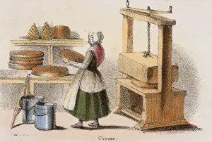 Cheese, c1845. Artist: Benjamin Waterhouse Hawkins