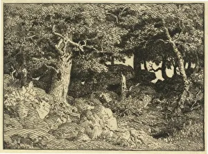 Chenes de Roche (Rock Oaks), 1861. Creator: Theodore Rousseau