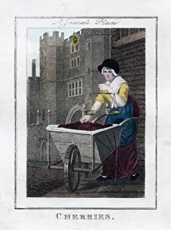 Cherries Gallery: Cherries, St Jamess Palace, London, 1805
