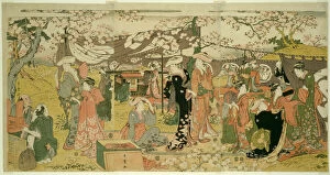Cherry Trees Collection: Cherry Blossom Banquet (Oka no utage), Japan, n. d. Creator: Kitagawa Utamaro