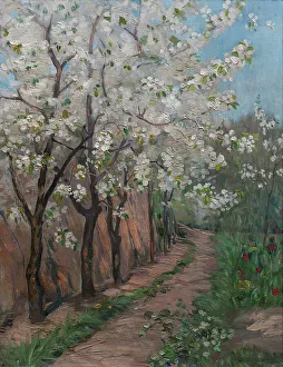 Cherry Blossom. Creator: Ingeborg Eggertz