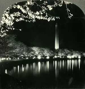 When It Is Cherry Blossom Time in Washington - A Lovely Night View of Washington Monument
