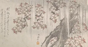 Cherry Blossoms in the Rain, 19th century. 19th century. Creator: Shinsai