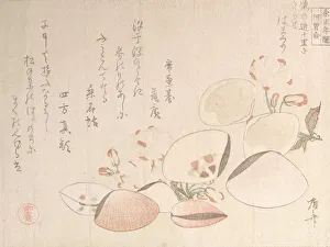 Ryuryukyo Shinsai Prints: Cherry Blossoms and Shells, 19th century. 19th century. Creator: Shinsai
