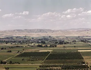 Cherry orchards, farm lands and irrigation ditch at Emmett, Idaho, 1941. Creator: Russell Lee