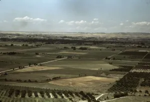 Cherry Trees Prints: Cherry orchards and farming land, Emmett, Idaho, 1941. Creator: Russell Lee