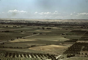 Cherry orchards and farming land, Emmett, Idaho, 1941. Creator: Russell Lee
