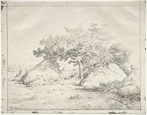 Cliche Verre Prints: Cherry Tree at Blau. Creator: Theodore Rousseau (French, 1812-1867)