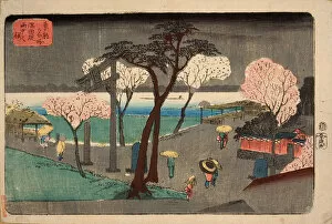 Images Dated 3rd April 2014: Cherry Trees in Rain on the Sumida River Embankment. (Sumida zutsumi uchu no sakura) by Hiroshige