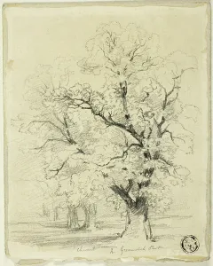 Creswick Thomas Prints: Ches[t]nut in Greenwich Park, n.d. Creator: Thomas Creswick