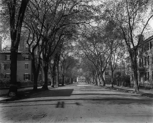 Transparency Prints: Chestnut St. Salem, Mass. c1906. Creator: Unknown