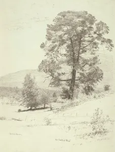 Chestnut Tree Prints: The Chestnut Tree, c1920s. Creator: Bolton Coit Brown