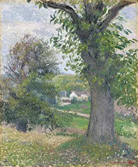 Sunny Prints: Chestnut trees in Osny, 1883. Creator: Camille Pissarro