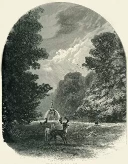 Chestnut Tree Collection: The Chestnuts in Bushey Park, c1870