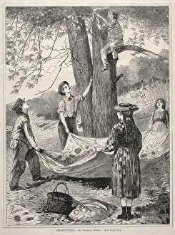 Chestnutting, 1870. Creator: Winslow Homer (American, 1836-1910)