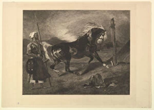 Eugene Gallery: Cheval arabe au piquet, d après Delacroix, 1857. Creator: Felix Bracquemond