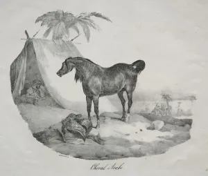 1791 1824 Prints: Cheval Arabe. Creator: Theodore Gericault (French, 1791-1824)