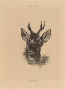Chevreuil. Creator: Karl Bodmer