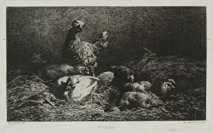 Charles émile Jacque French Gallery: The Chickens. Creator: Charles-Emile Jacque (French, 1813-1894)