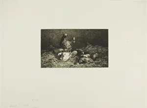 Chickens in Their Roost, 1864-1866. Creator: Charles Emile Jacque