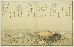 Double Page Prints: Chidori-gai, itaya-gai, awabi, utsuse-gai