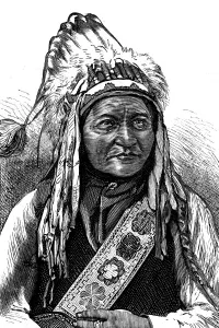 Chief Prints: Chief Sitting Bull, American Indian, 19th century