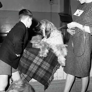 Durham Prints: Child with an Afghan Hound at a dog show in Horden, County Durham, 1963. Artist