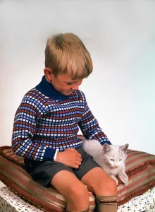 Cute Gallery: Child with a cat, 1963. Artist: Michael Walters