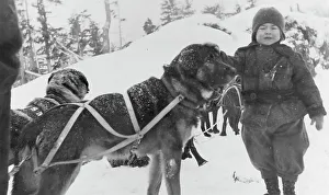 Sled Dog Prints: Child and dogs, between c1900 and c1930. Creator: Unknown