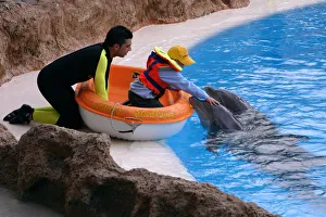 Canary Islands Prints: Child petting a dolphin, Loro Parque, Tenerife, Canary Islands, 2007